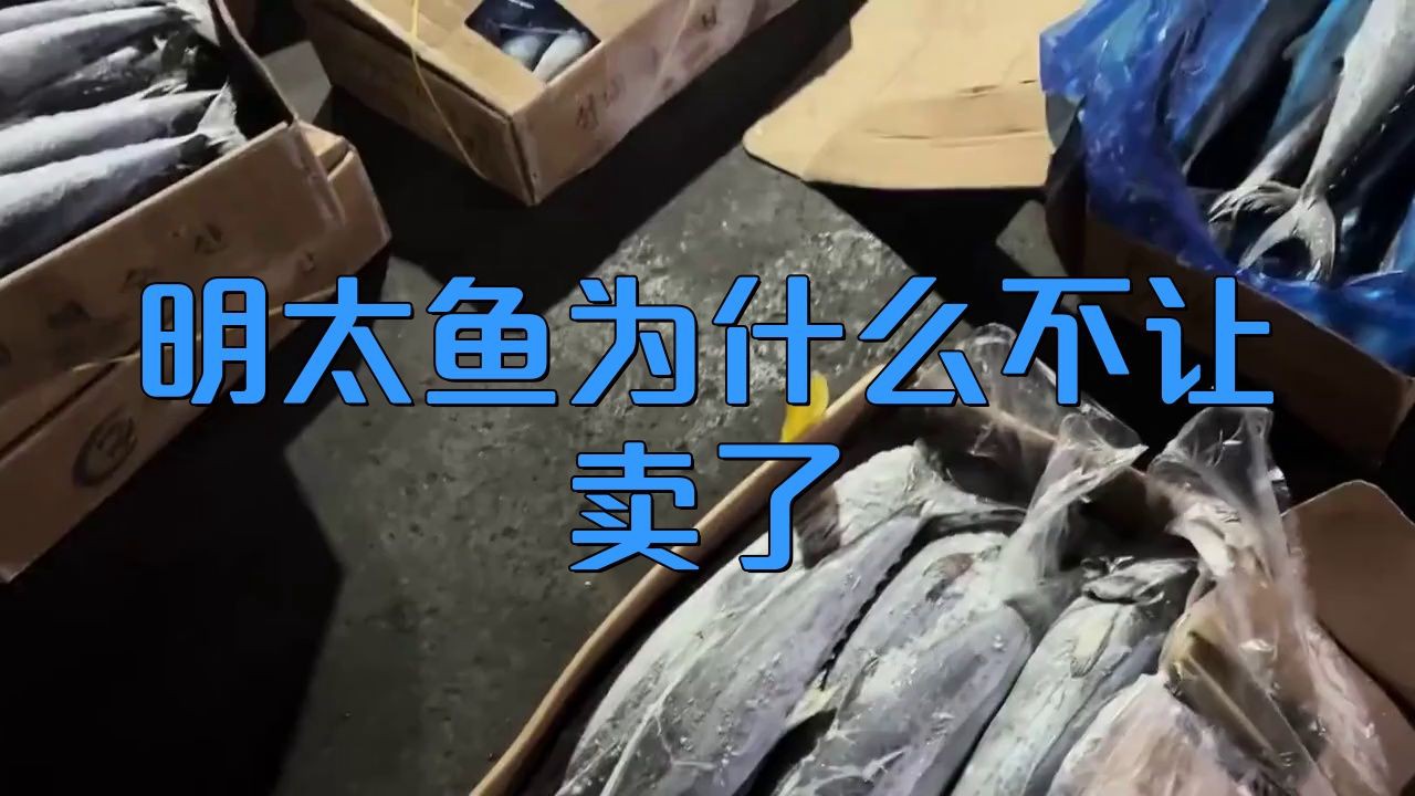 明太魚為什么不讓賣了，明太魚為什么不讓賣了自然之子,大饑荒中拯救了無數朝鮮人