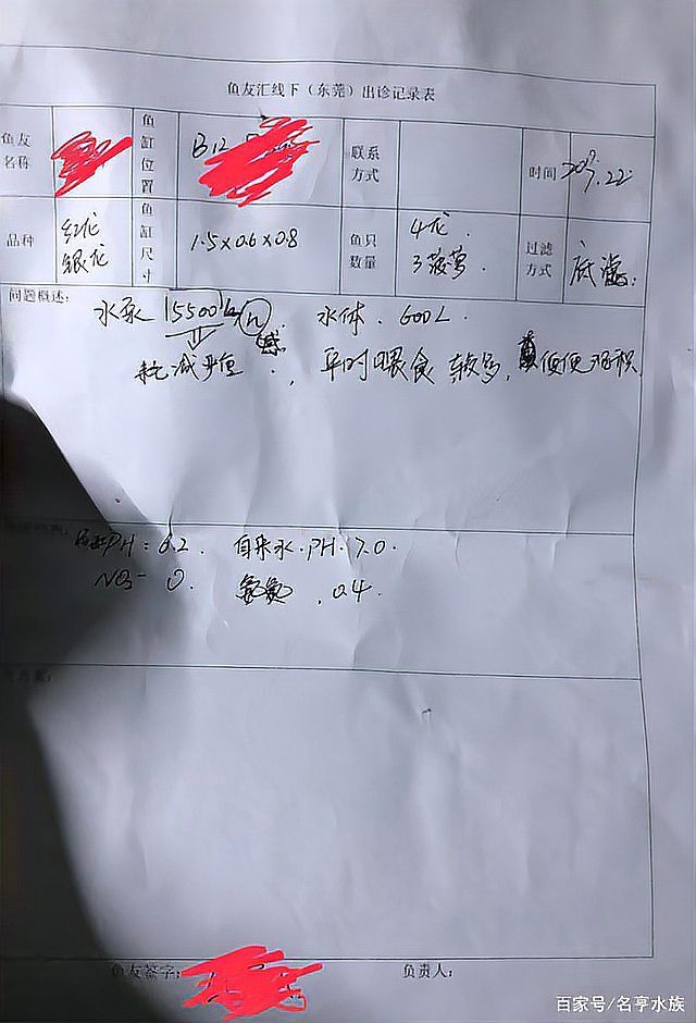 清新龍魚店，清新龍魚店年產值約10億元里水龍魚“游向”世界南海區政府網站