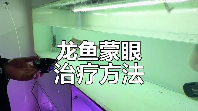 如何判斷龍魚蒙眼病是否痊愈？，如何判斷龍魚蒙眼病是否痊愈