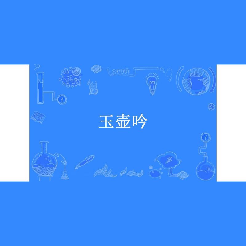 侯府奶妾《玉壺吟》，《侯府奶妾〈玉壺吟〉》