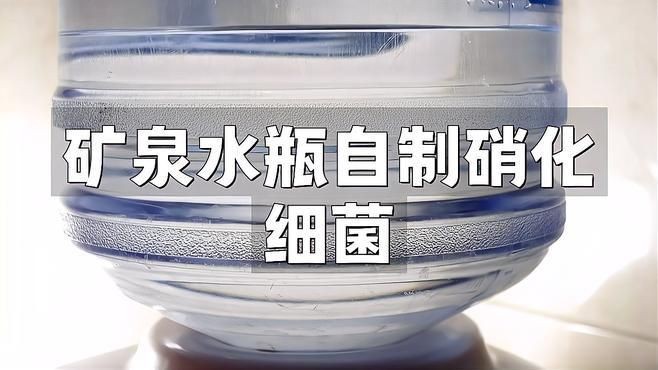礦泉水瓶自制細(xì)菌屋，《礦泉水瓶自制細(xì)菌屋》