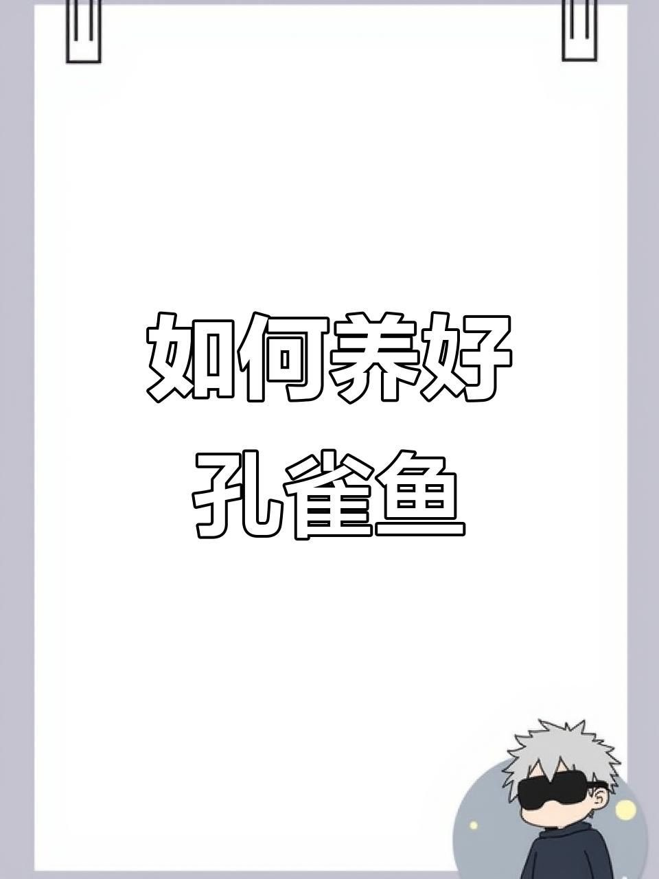 孔雀魚(yú)簡(jiǎn)介，孔雀魚(yú)——熱帶魚(yú)中的花孔雀