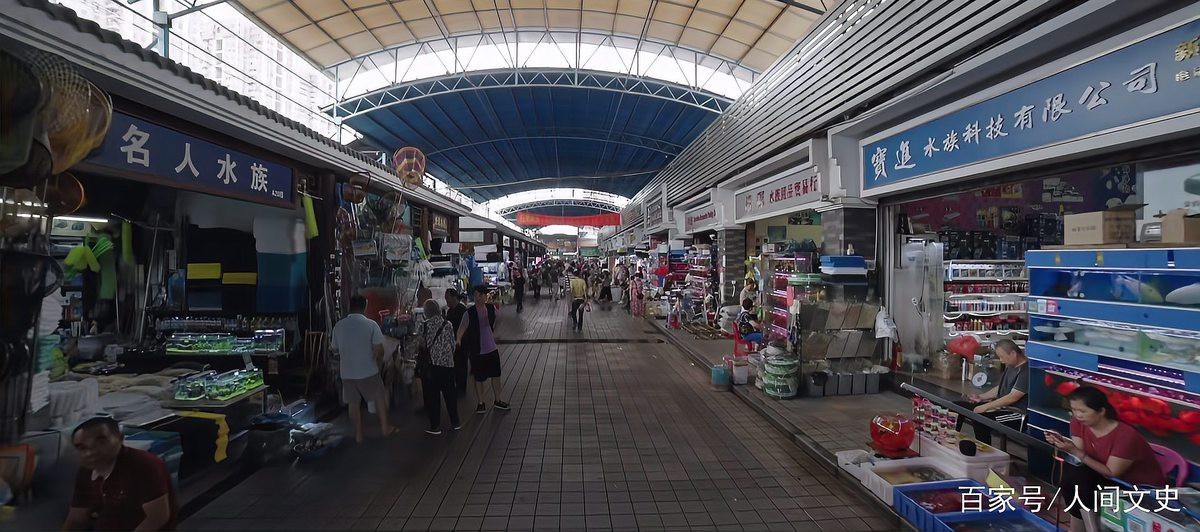 全國最大的觀賞魚批發基地，中國觀賞魚產業的黃金坐標 全國最大的觀賞魚批發基地，中國觀賞魚產業的黃金坐標 龍魚論壇 第1張