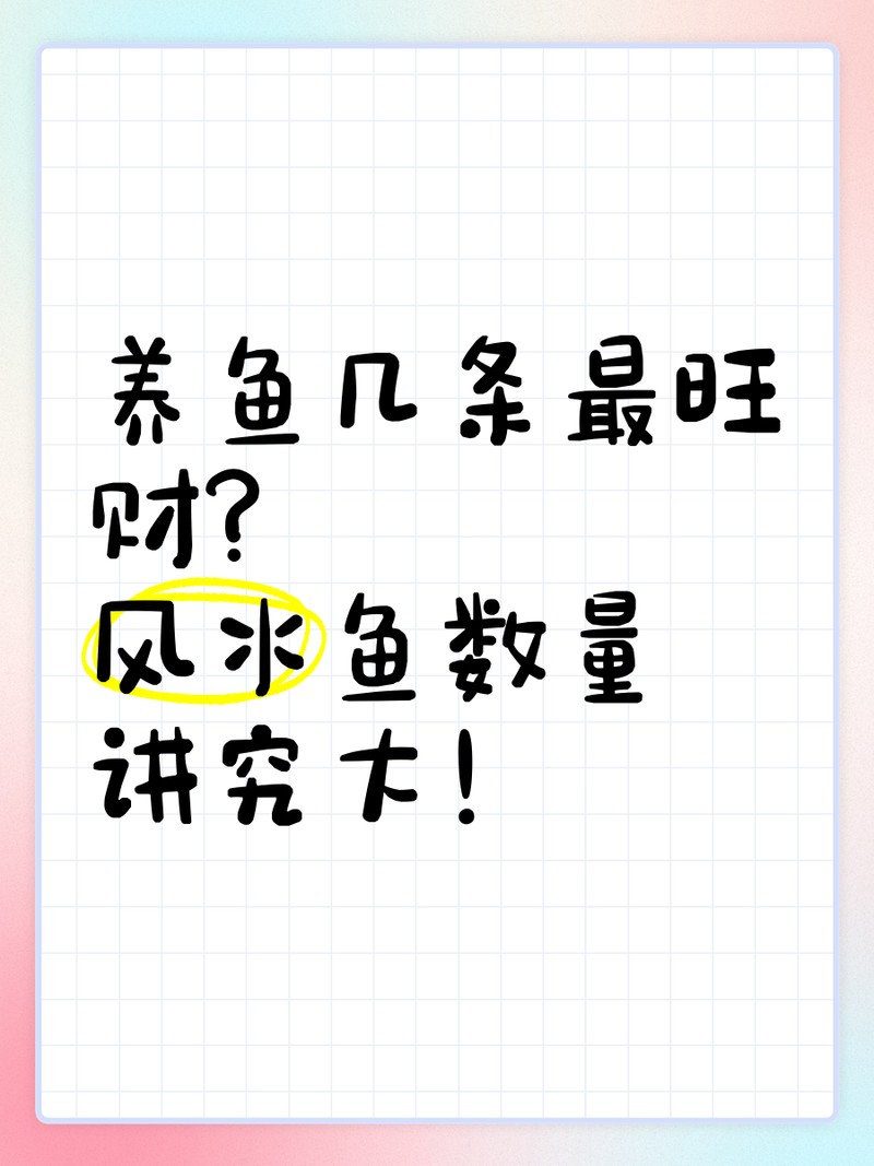 養(yǎng)魚5條不是一般人，《養(yǎng)魚5條不是一般人》