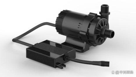 溫州魚缸維護，溫州地區的魚缸維護服務涵蓋多項專業內容
