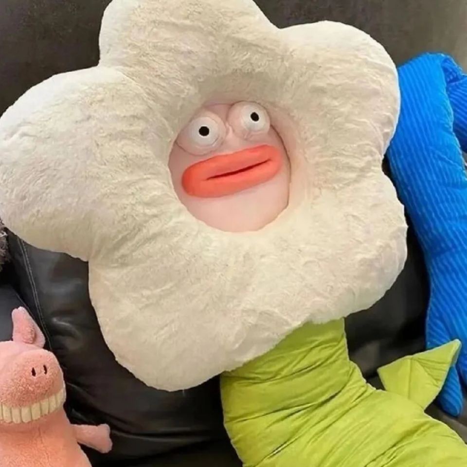 溫州魚缸維護，溫州地區的魚缸維護服務涵蓋多項專業內容