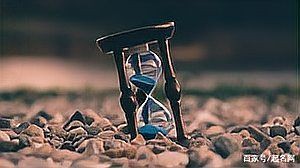 冷門森系ins英文名,《冷門森系ins英文名》20個兼具冷門特質與森系美學的英文名 龍魚百科 第7張 冷門森系ins英文名,《冷門森系ins英文名》20個兼具冷門特質與森系美學的英文名 冷門森系ins英文名,《冷門森系ins英文名》20個兼具冷門特質與森系美學的英文名 龍魚百科 第7張