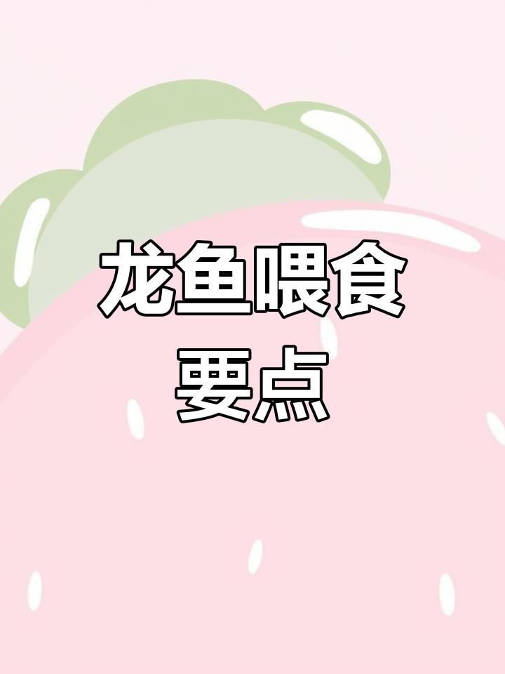 紅龍最愛吃的食物，紅龍魚喂食技巧大揭秘