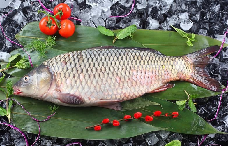 鯉魚大全圖片，濟南26斤糖醋黃金鯉獨攬三項最佳單項獎
