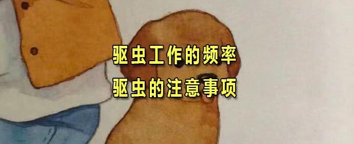 50cm金龍魚多久驅蟲一次，50cm金龍魚的驅蟲頻率如何調整 50cm金龍魚多久驅蟲一次，50cm金龍魚的驅蟲頻率如何調整 龍魚百科 第4張