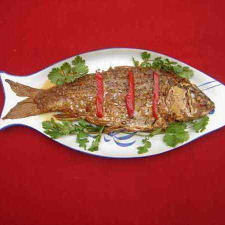 弋陽龍魚店，南信水族龍魚貿易店內有哪些龍魚品種弋陽龍魚店 弋陽龍魚店，南信水族龍魚貿易店內有哪些龍魚品種弋陽龍魚店 全國水族館企業名錄 第2張