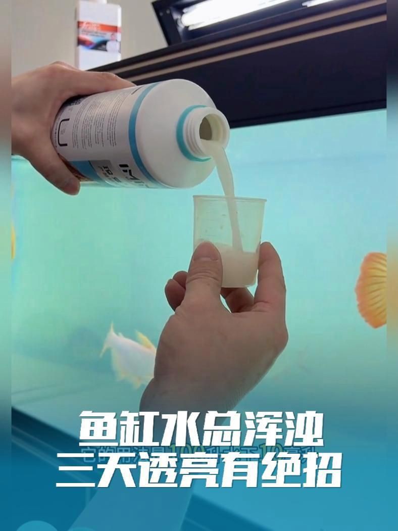 瑪豆水族消化活菌，瑪豆水族消化活菌是一款專為優化水族環境設計的微生物制劑 瑪豆水族消化活菌，瑪豆水族消化活菌是一款專為優化水族環境設計的微生物制劑 龍魚百科 第4張