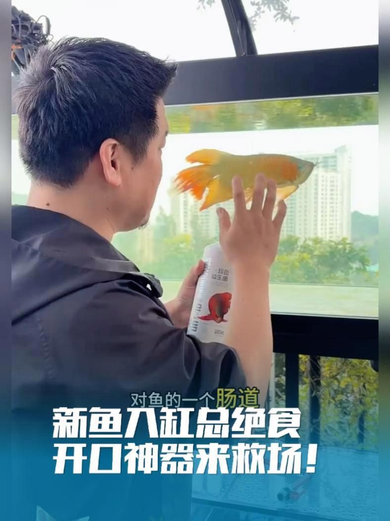 瑪豆水族消化活菌，瑪豆水族消化活菌是一款專為優化水族環境設計的微生物制劑 瑪豆水族消化活菌，瑪豆水族消化活菌是一款專為優化水族環境設計的微生物制劑 龍魚百科 第1張