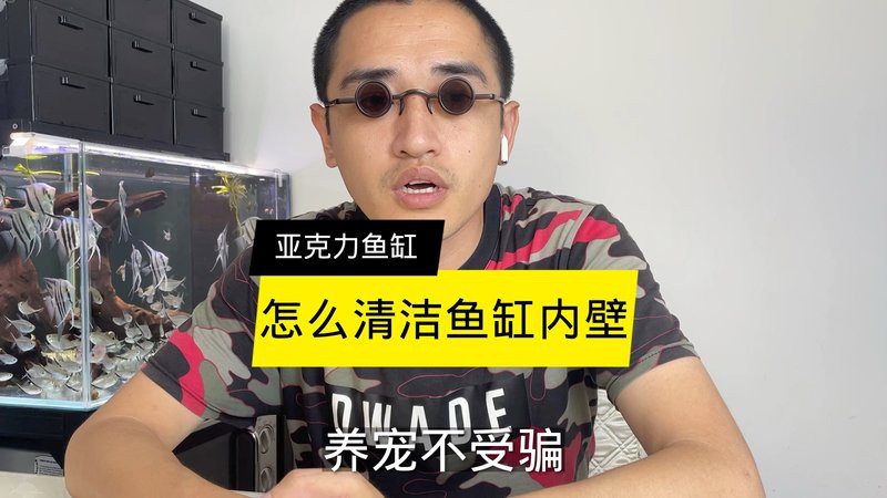 如何清潔魚缸里的龍擺件，從死魚到空氣缸,我靠這招讓魚缸帶「自凈功能」小愛寵物生活百科