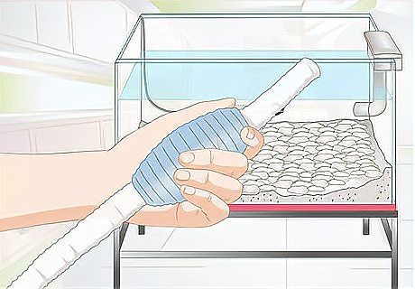 如何清潔魚缸里的龍擺件，從死魚到空氣缸,我靠這招讓魚缸帶「自凈功能」小愛寵物生活百科