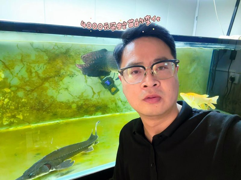 彩虹雷龍發(fā)色需要多長時間？，如何判斷彩虹雷龍是否開始發(fā)色？ 彩虹雷龍發(fā)色需要多長時間？，如何判斷彩虹雷龍是否開始發(fā)色？ 龍魚論壇 第3張