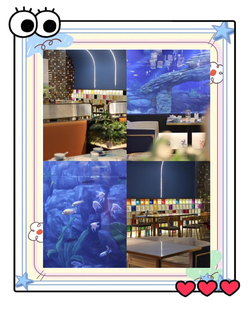 柳北水族店，廣西壯族自治區柳北區魚趣水族館 柳北水族店，廣西壯族自治區柳北區魚趣水族館 全國水族館企業名錄 第1張