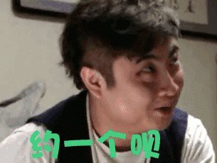 武寧水族店，武寧地區的水族店展現出多元化的經營特色