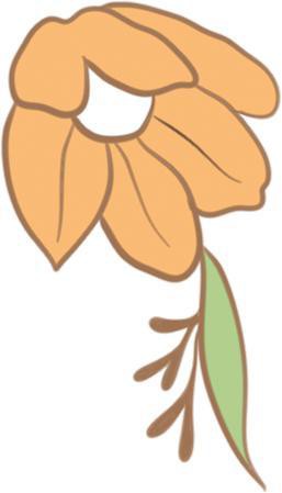 開(kāi)福水族店，愛(ài)企查，長(zhǎng)沙市開(kāi)福區(qū)滿(mǎn)堂紅水族館