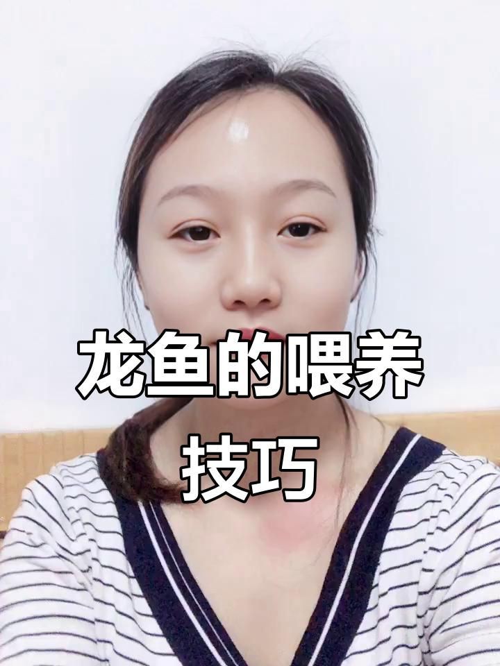 紅龍魚喂什么食最好，《紅龍魚喂什么食最好》