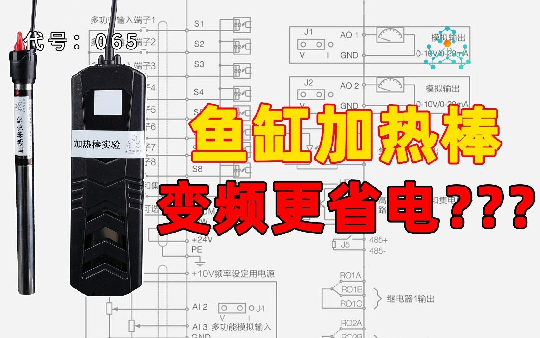 如何為龍魚缸設置合適的加熱棒？，《如何為龍魚缸設置合適的加熱棒》