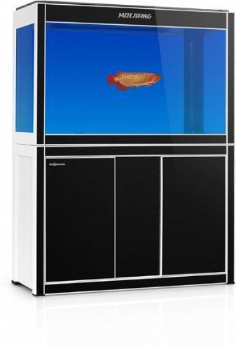 龍巖魚缸批發市場，龍巖魚缸批發市場品類豐富、功能多元涵蓋多個細分領域 龍巖魚缸批發市場，龍巖魚缸批發市場品類豐富、功能多元涵蓋多個細分領域 全國水族館企業名錄 第1張