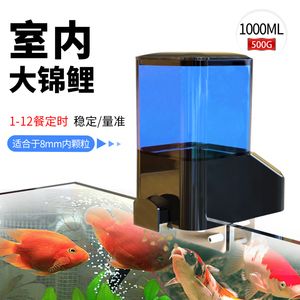 龍魚只喂顆粒行嗎：龍魚顆粒飼料的優(yōu)點和局限性如何確保龍魚獲得全面的營養(yǎng)