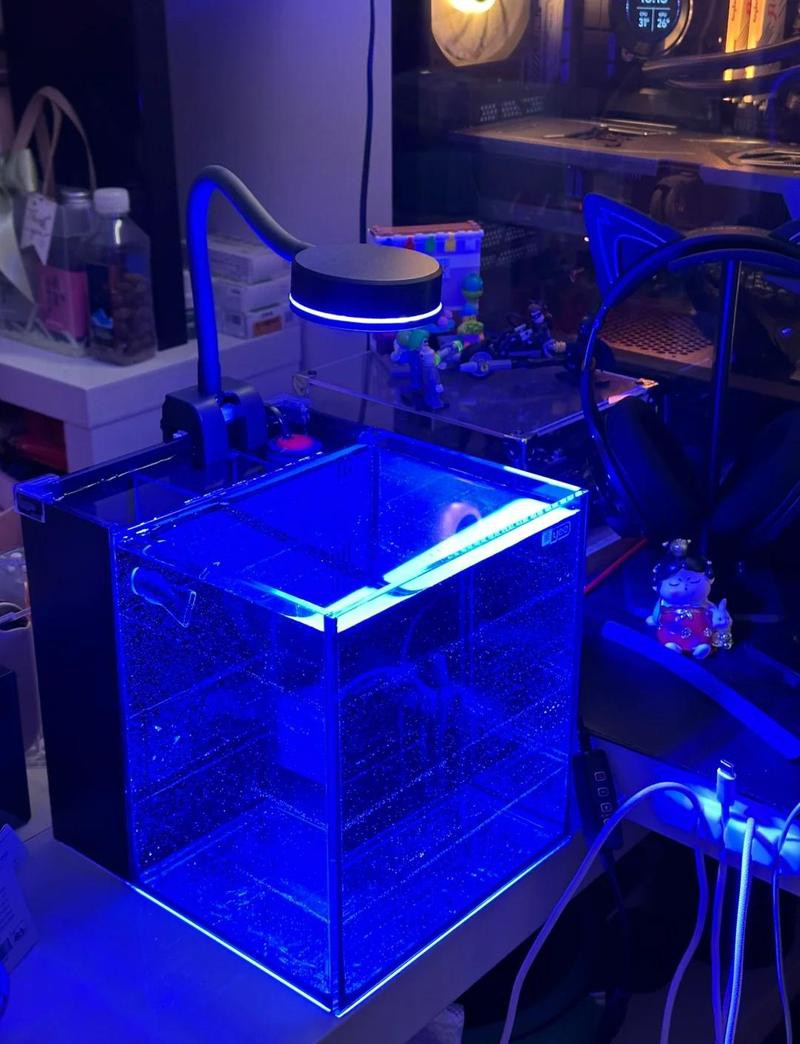 玉門水族店，玉門哪家水族店口碑最好