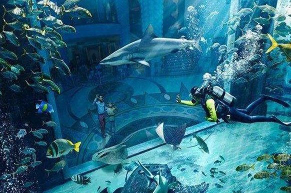 開水族店需要什么條件，加盟星開水族店需要什么證件加盟星開水族店需要辦什么證件
