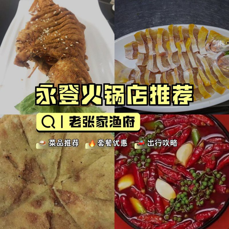 永登龍魚店，廣州聚龍灣龍魚店永登龍魚店價格范圍在哪里 永登龍魚店，廣州聚龍灣龍魚店永登龍魚店價格范圍在哪里 全國水族館企業名錄 第1張