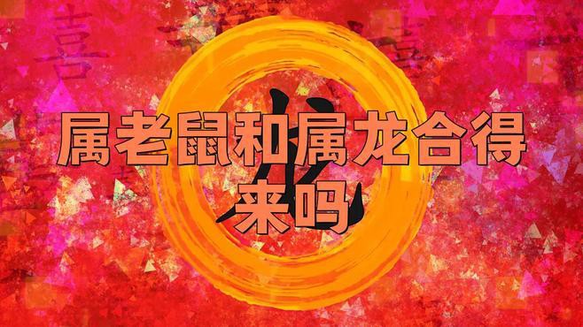 如何判斷屬鼠和屬龍的合作是否成功？，屬鼠和屬龍的合作成功案例