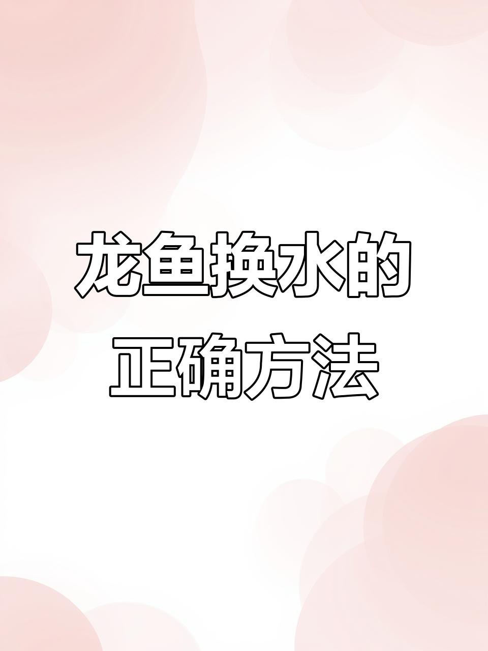 如何給金龍魚換水？，給金龍魚換水需遵循科學(xué)方法以確保其健康，通常建議更換一次