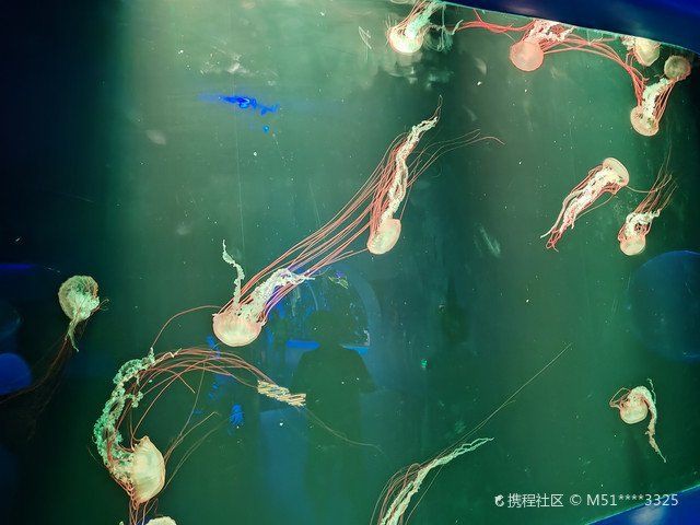 深圳水族店，深圳寵尚居水族店