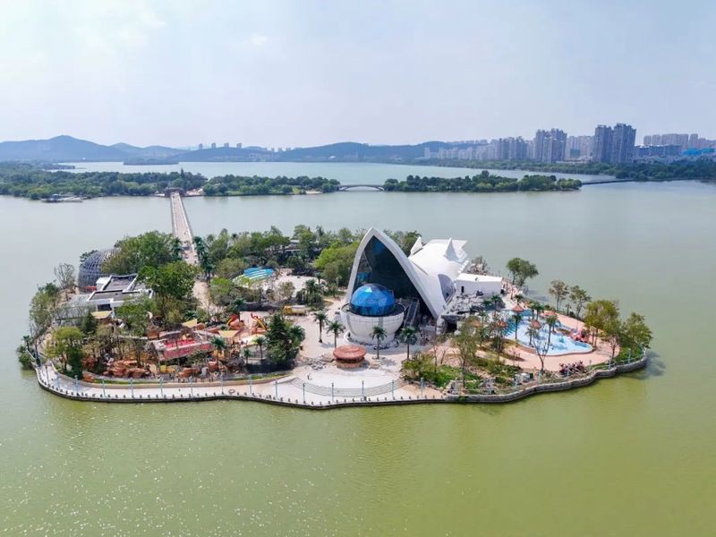 云龍水族店，徐州云龍水族店有哪些特色產品瘋狂水草的聯系方式