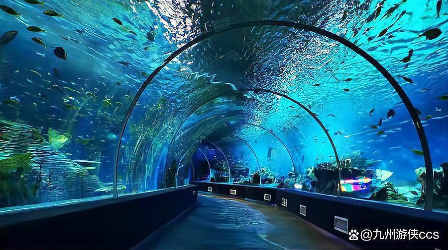 <strong><mark>漯河</mark></strong>水族店，探秘<strong><mark>漯河</mark></strong>海洋館:開啟海底世界的奇幻之旅