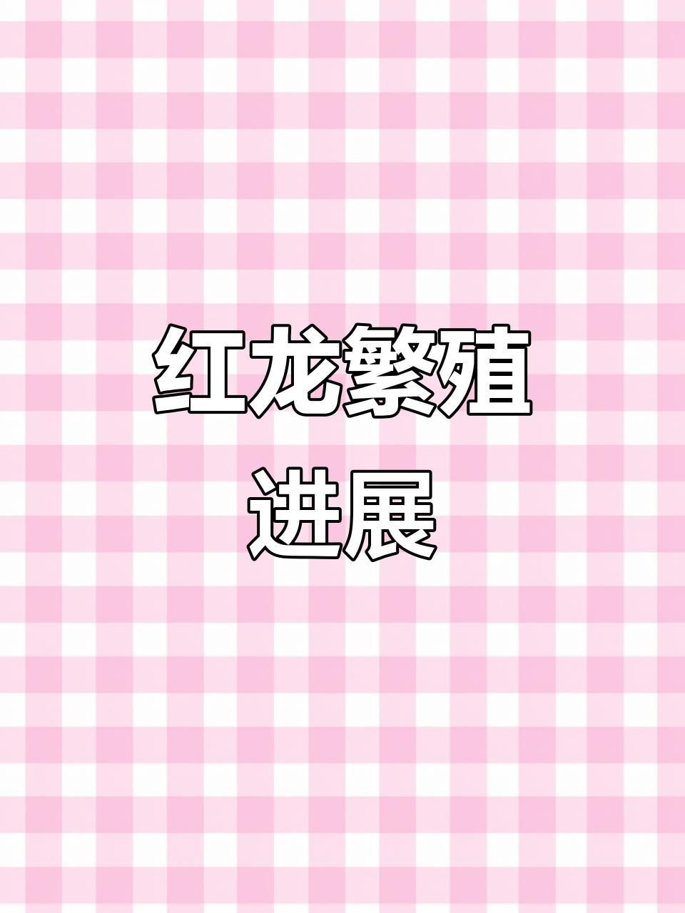 紅龍魚的人工繁殖技術如何？，紅龍魚的人工繁殖技術