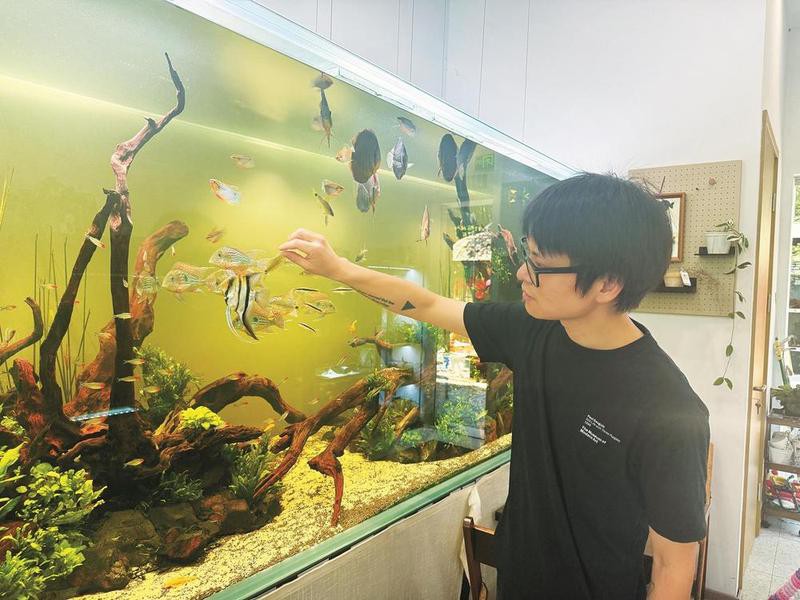 浙江水族店，浙江省內(nèi)水族館分布廣泛且經(jīng)營內(nèi)容豐富多樣 浙江水族店，浙江省內(nèi)水族館分布廣泛且經(jīng)營內(nèi)容豐富多樣 全國水族館企業(yè)名錄 第9張