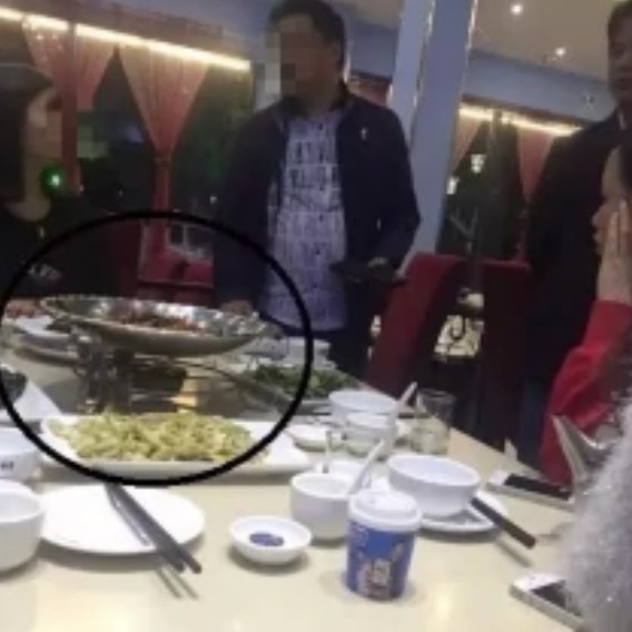 桂林龍魚店，桂林天價魚推薦