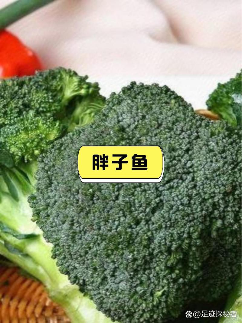 武山龍魚店，天水武山龍魚店 武山龍魚店，天水武山龍魚店 全國水族館企業名錄 第2張