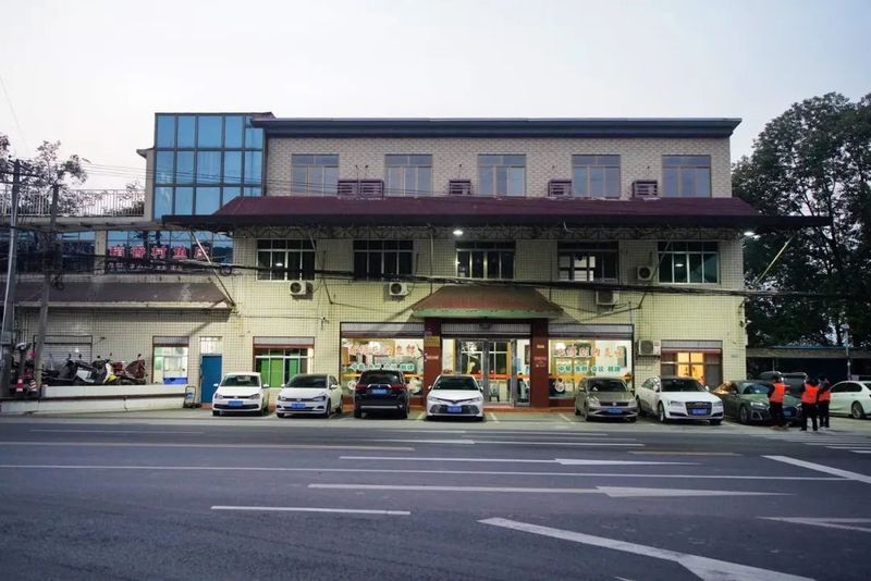 津市龍魚店，津市的龍魚店