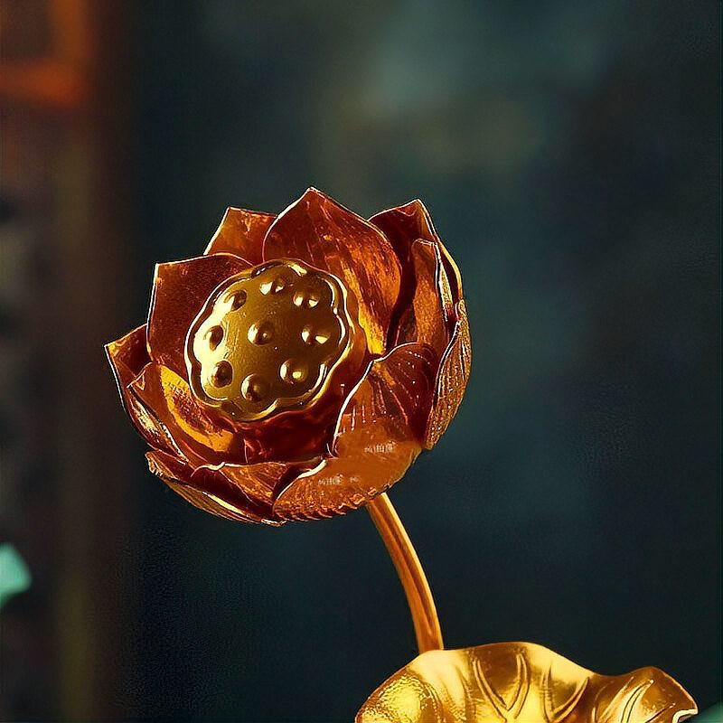 佛教談科比因果，佛教的因果論 佛教談科比因果，佛教的因果論 龍魚論壇 第4張