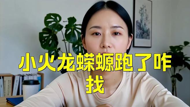 小火龍爬出后如何找到它？，小火龍爬出后的找尋問題 小火龍爬出后如何找到它？，小火龍爬出后的找尋問題 龍魚論壇 第1張