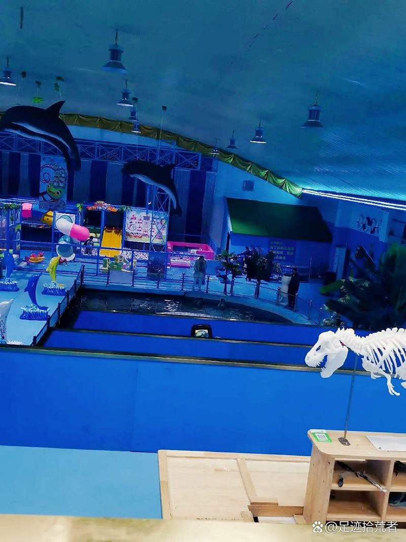 濮陽水族店，濮陽哪家水族店口碑最好 濮陽水族店，濮陽哪家水族店口碑最好 全國水族館企業(yè)名錄 第6張