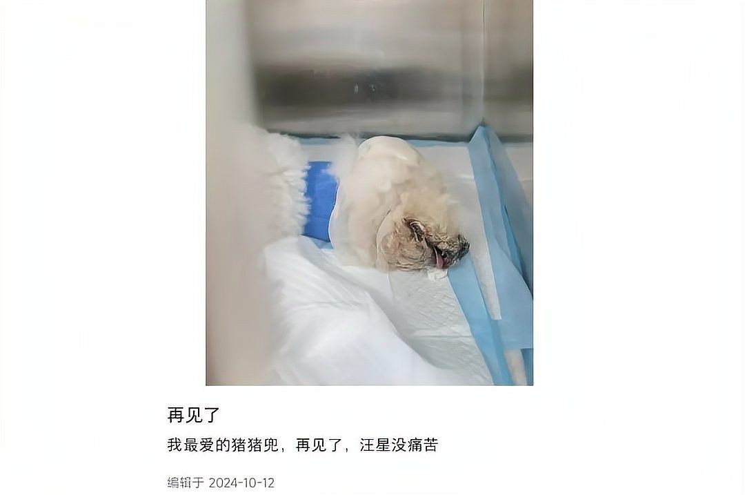 有沒有成功案例?,十大成功商業(yè)案例