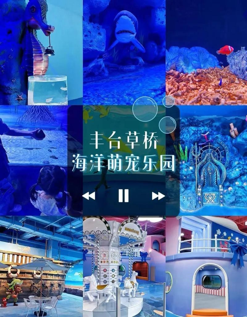 豐臺水族店，<strong><mark>北京</mark></strong>豐臺水族市場