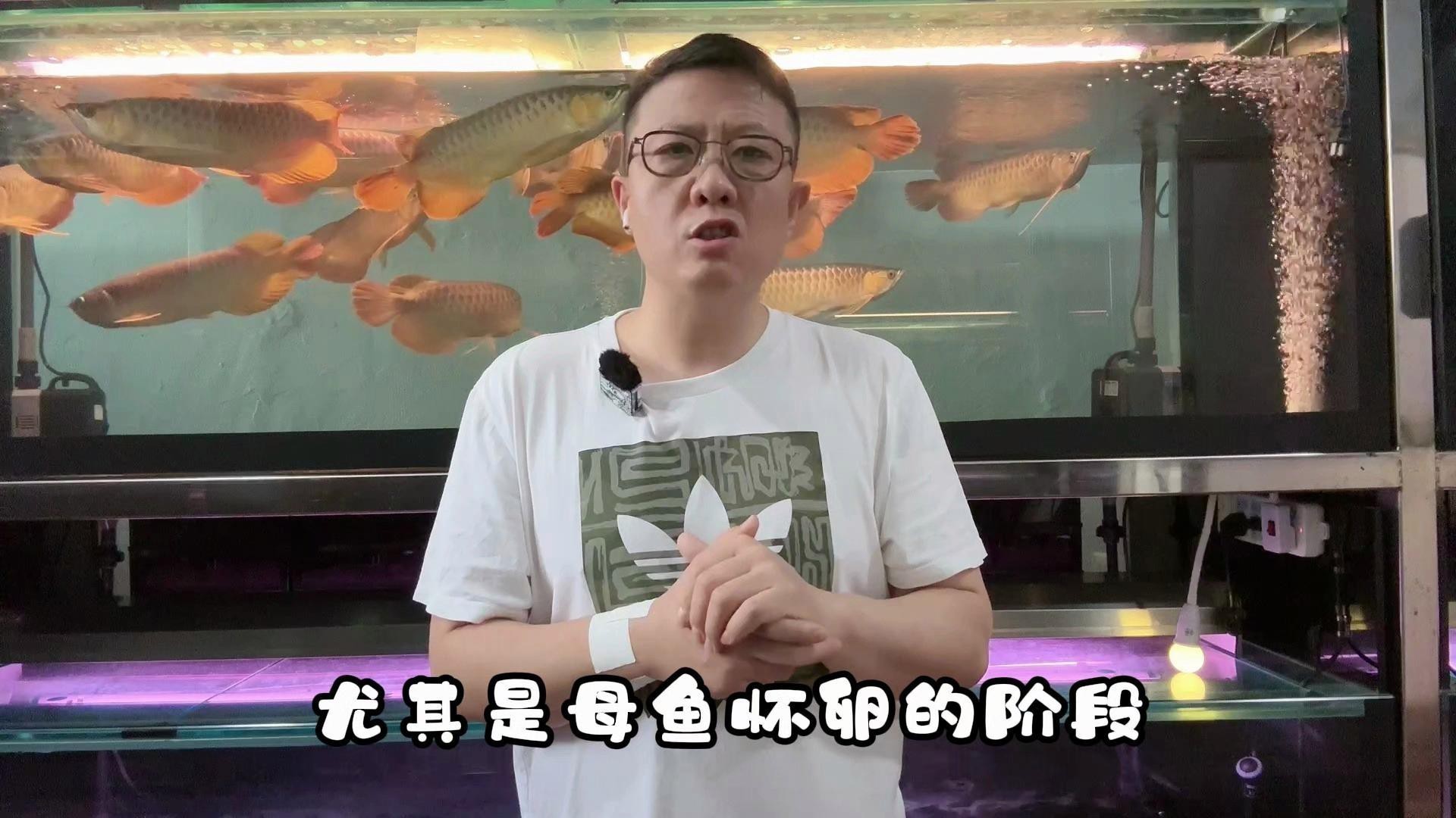 如何正確使用龍魚專用魚藥？，如何正確使用龍魚專用魚藥