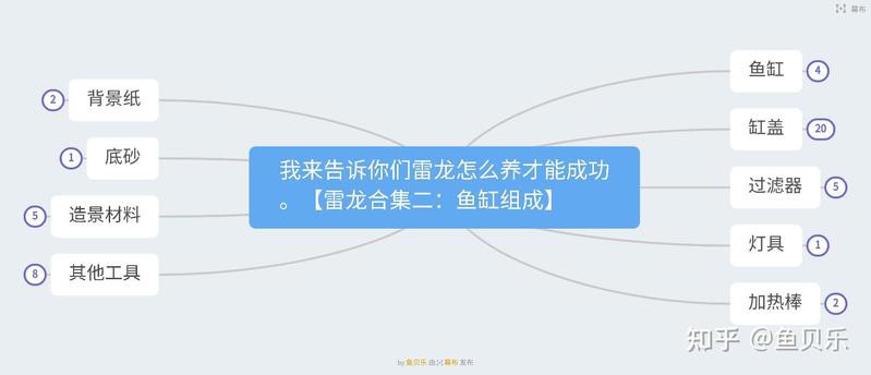 養雷龍缸的10大忠告，《養雷龍缸的10大忠告》飼養成功率不足20龍缸的10大忠告