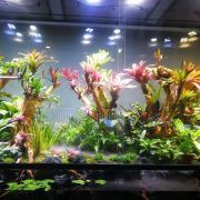 喀什水族館，喀什的水族館為當(dāng)?shù)鼐用裉峁┝硕鄻踊牡叵掳岛拥叵麦w驗(yàn)