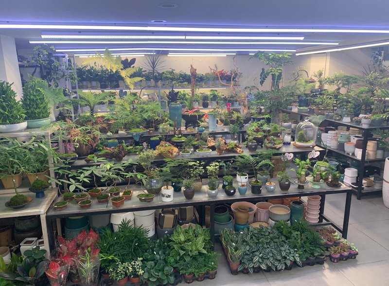 普安水族店，普安有哪些特色水族產品
