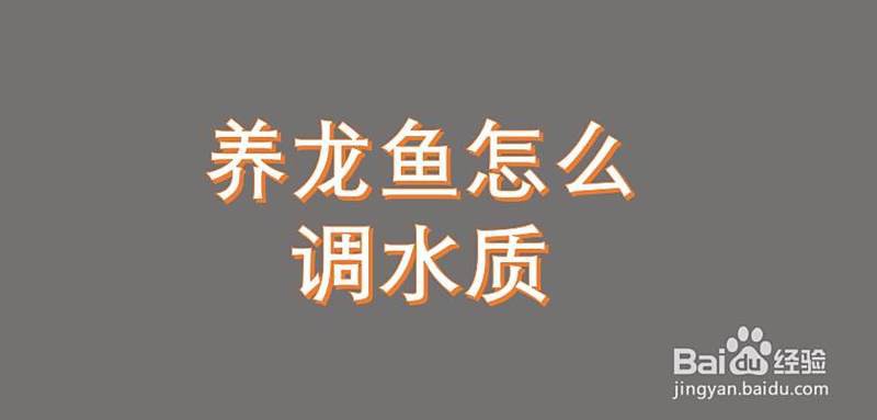 如何設置龍魚魚缸的水質參數？，如何設置龍魚魚缸的水質參數 如何設置龍魚魚缸的水質參數？，如何設置龍魚魚缸的水質參數 龍魚論壇 第15張